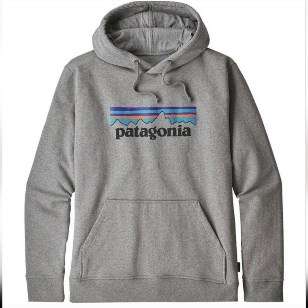 Patagonia Gray Hoodie with Logo
